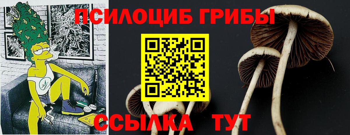 Галлюциногенные грибы Psilocybe Клин
