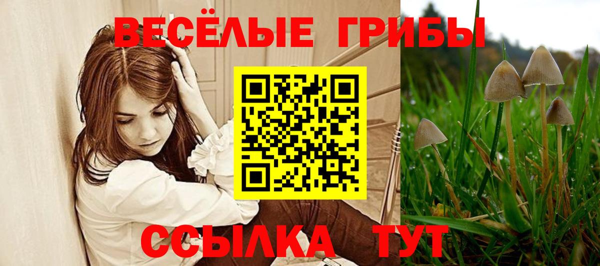 Псилоцибиновые грибы GOLDEN TEACHER  Галлюциногенные грибы ЛСД  Вход с VPN  Клин 